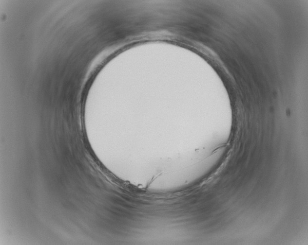 X0000069401176200606091734