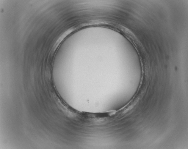 X0000069401177200606091734