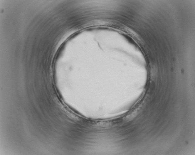 X0000069401178200606091734