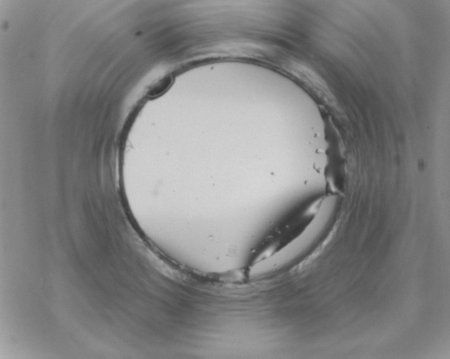 X0000069401180200606091734