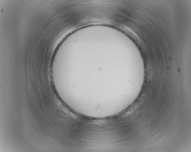 X0000069401182200606091734