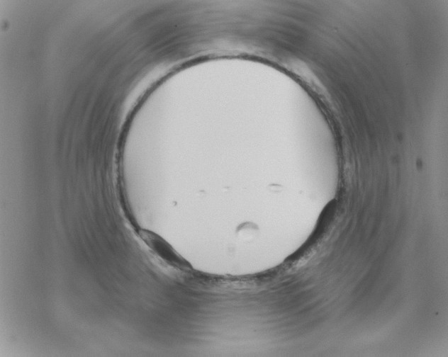 X0000069401183200606091734