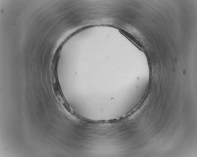 X0000069401184200606091734