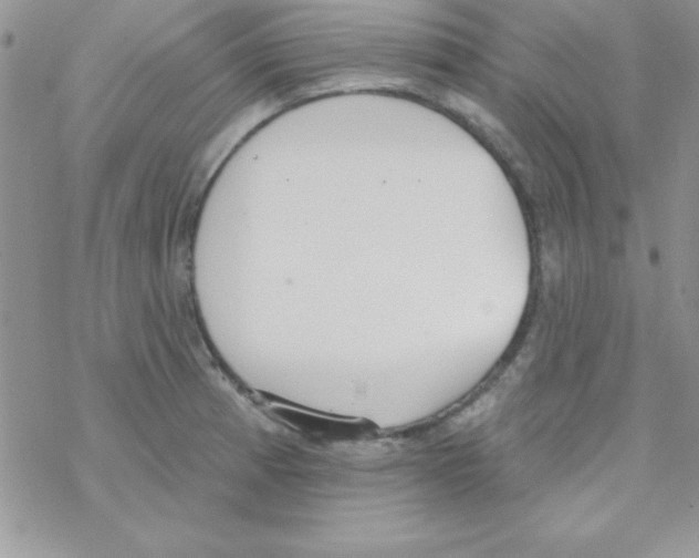 X0000069401185200606091734