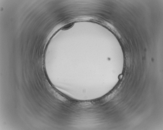 X0000069401186200606091734