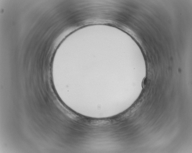 X0000069401187200606091734