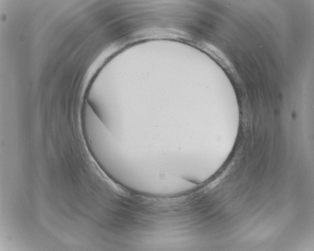 X0000069401188200606091734