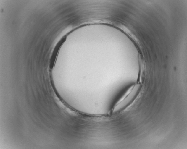 X0000069401189200606091734