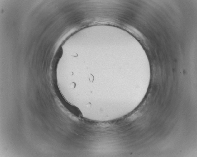 X0000069401190200606091734