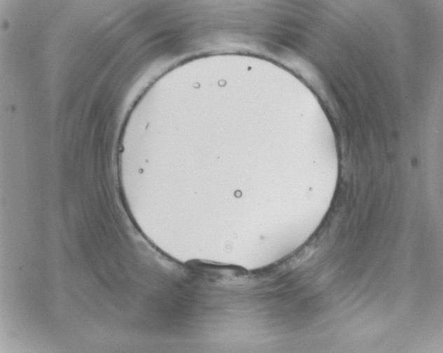 X0000069401191200606091734