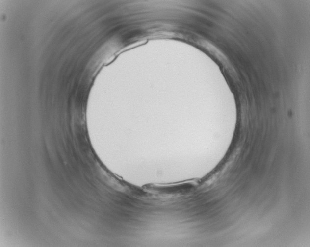 X0000069401193200606091734