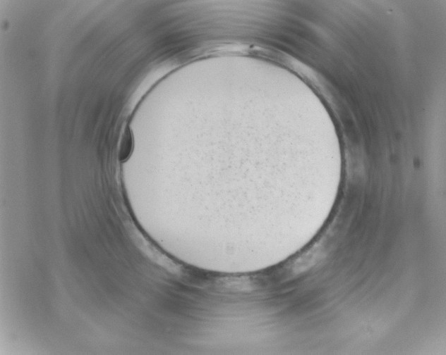 X0000069401194200606091734