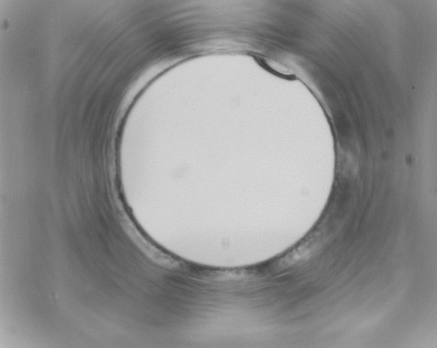 X0000069401195200606091734