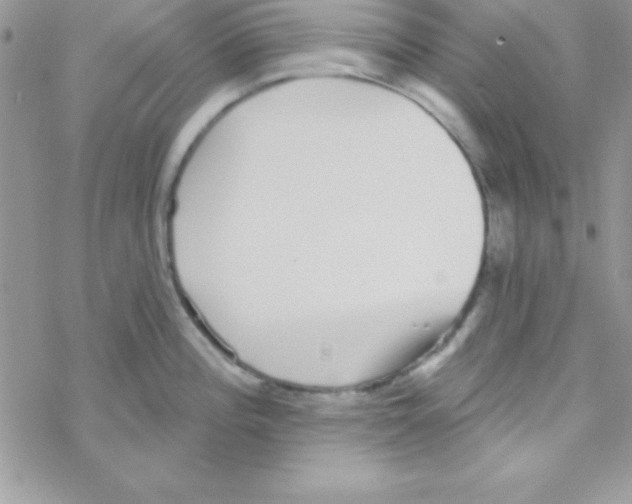 X0000069401196200606091734