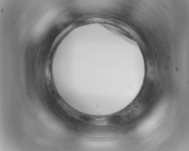 X0000069401198200606091734