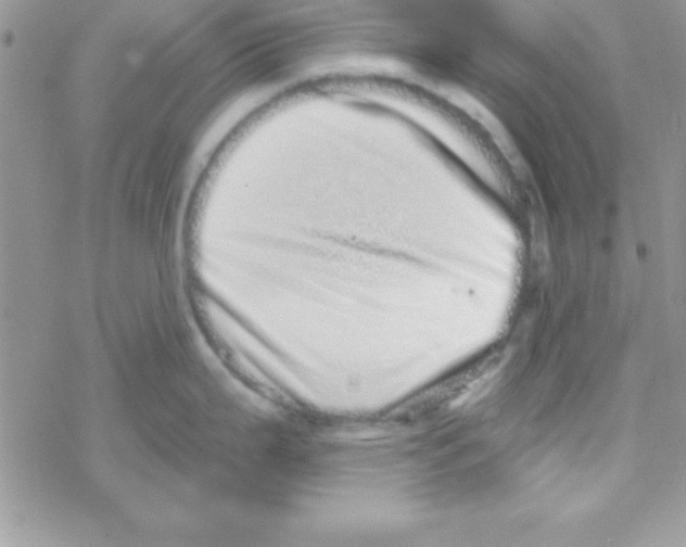 X0000069401199200606091734