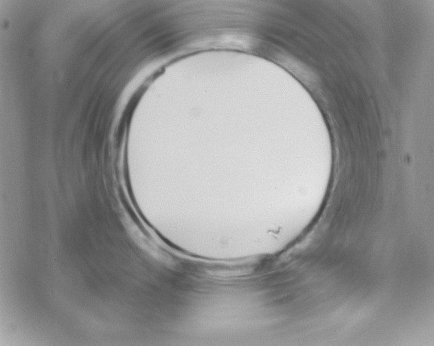 X0000069401200200606091734