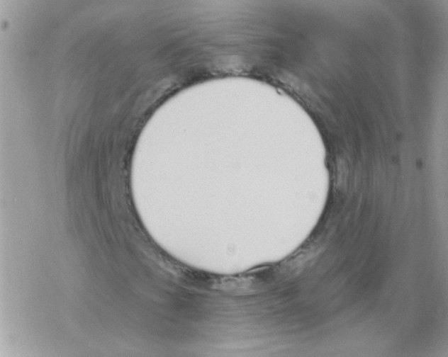 X0000069401201200606091733