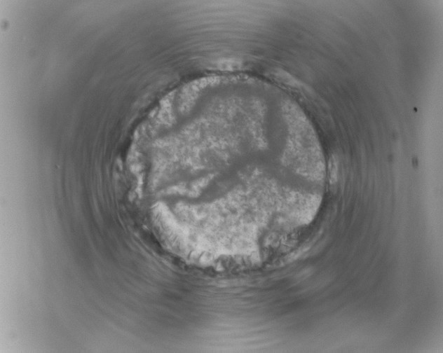 X0000069401202200606091733