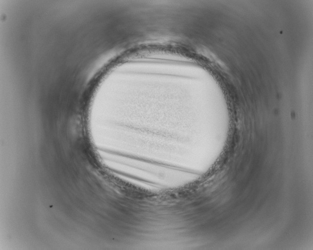 X0000069401208200606091733