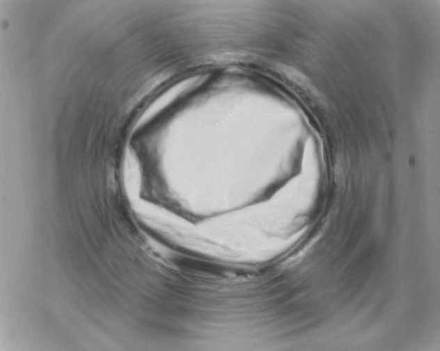 X0000069401209200606091733