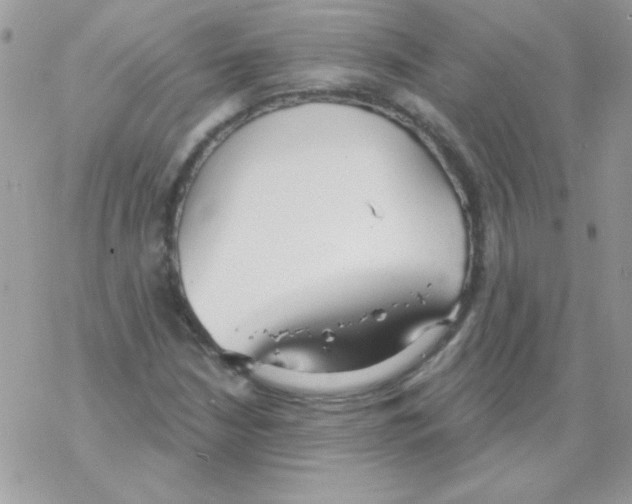 X0000069401210200606091733