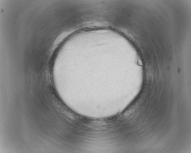 X0000069401215200606091733