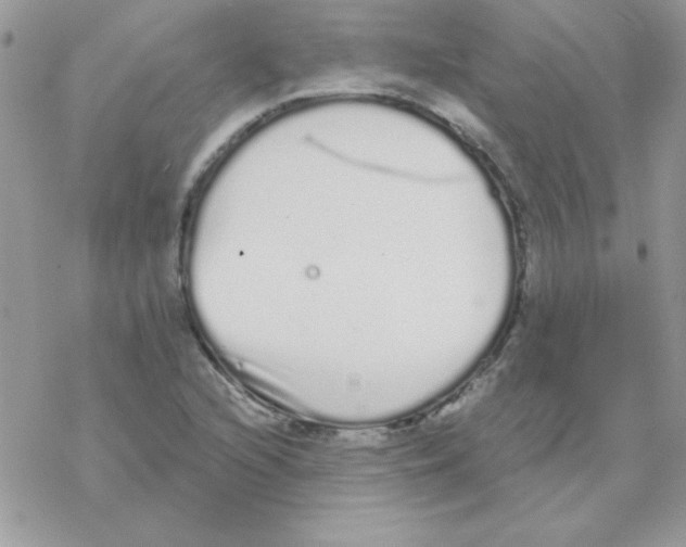 X0000069401216200606091733