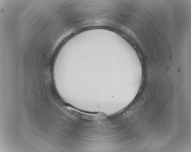 X0000069401218200606091733