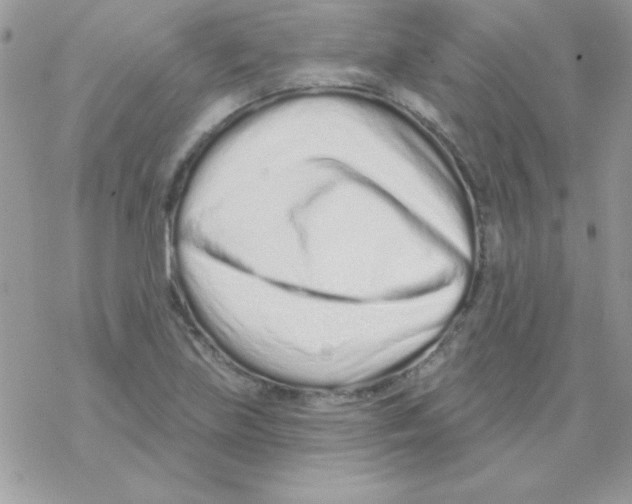 X0000069401219200606091733