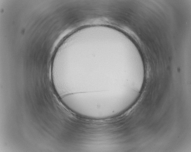 X0000069401224200606091733