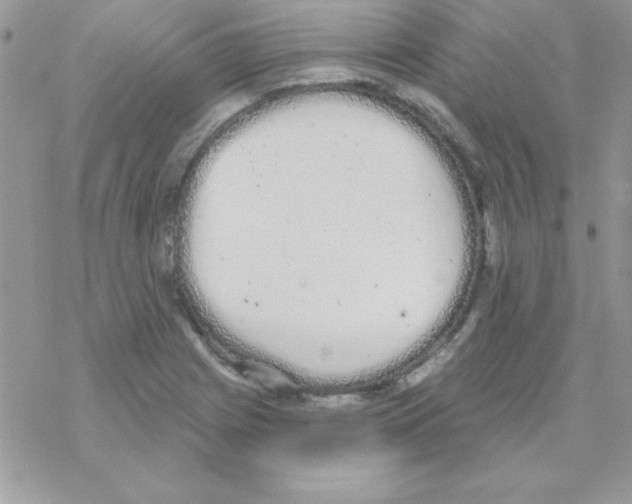 X0000069401225200606091733