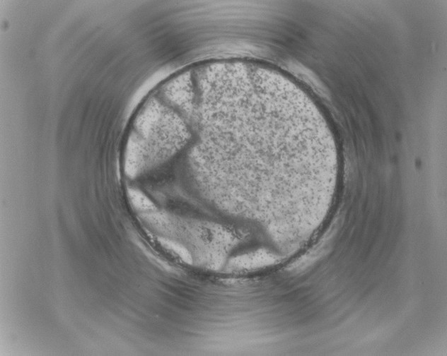 X0000069401226200606091733