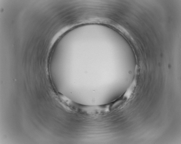 X0000069401230200606091733