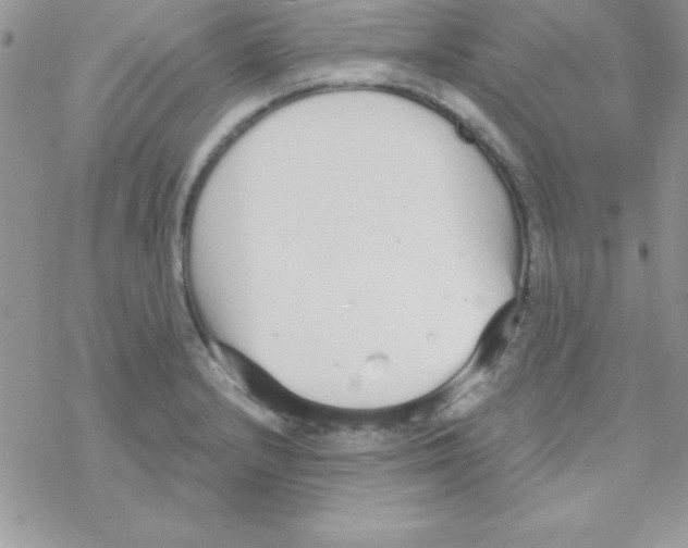 X0000069401232200606091733