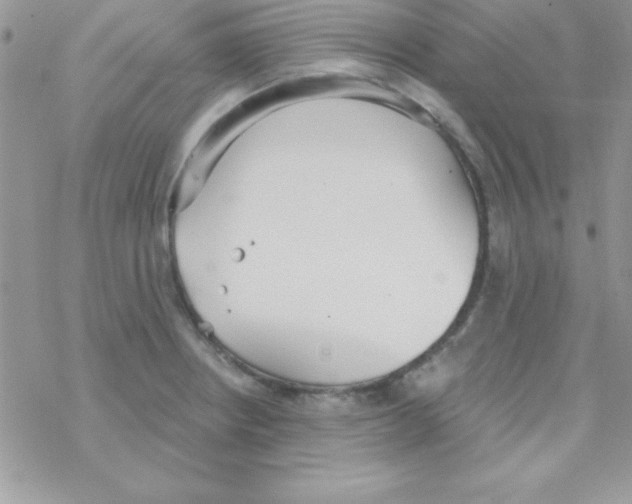 X0000069401234200606091733