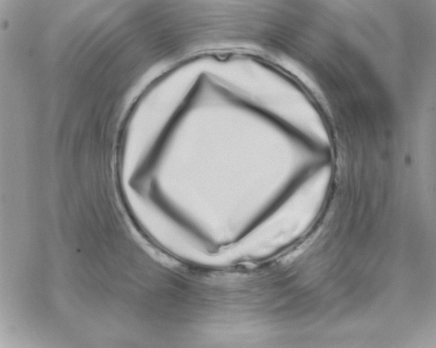 X0000069401237200606091733