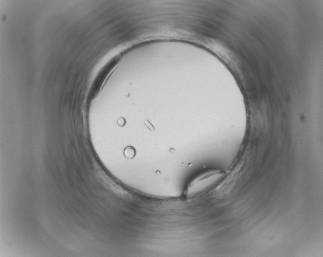 X0000069401238200606091733