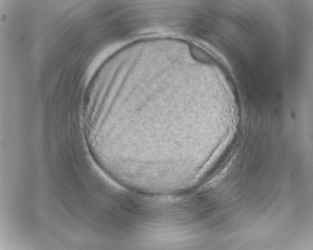 X0000069401239200606091733