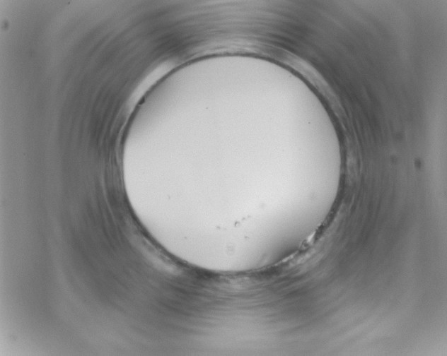 X0000069401242200606091733