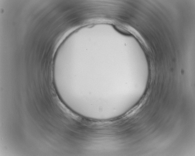 X0000069401244200606091733