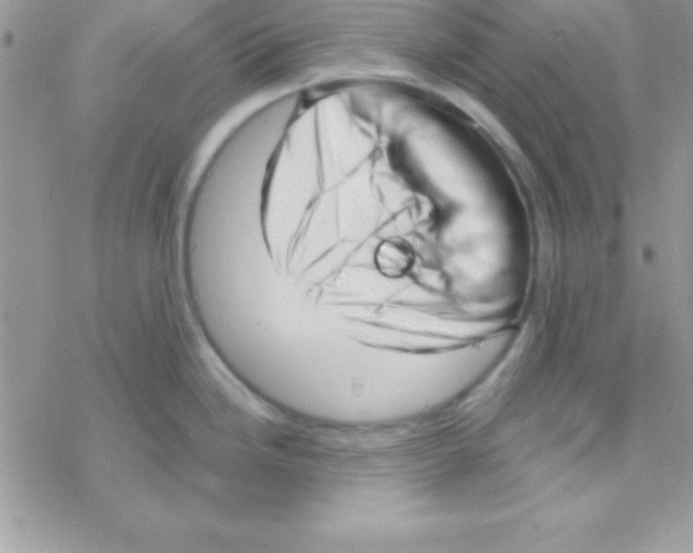 X0000069401246200606091734