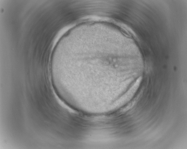 X0000069401247200606091734