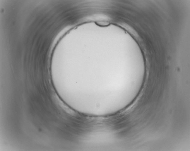 X0000069401248200606091734