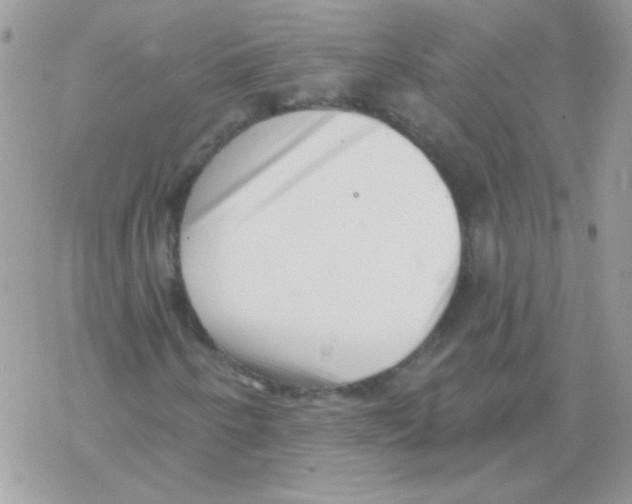 X0000069401250200606091733