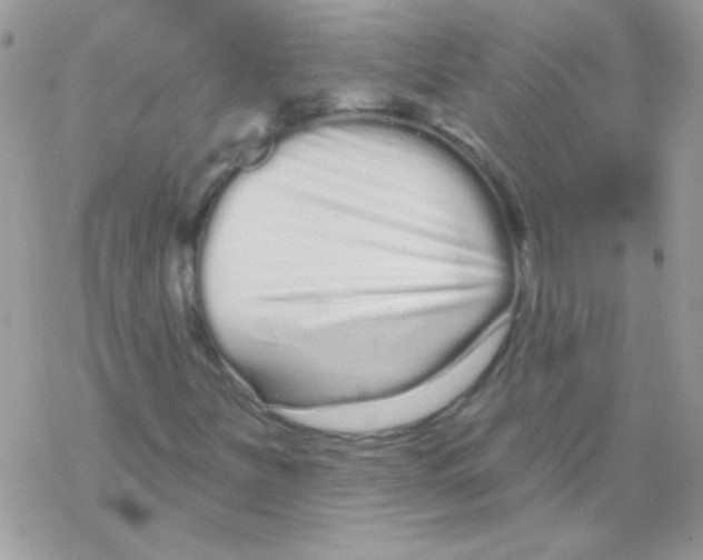 X0000069401251200606091733