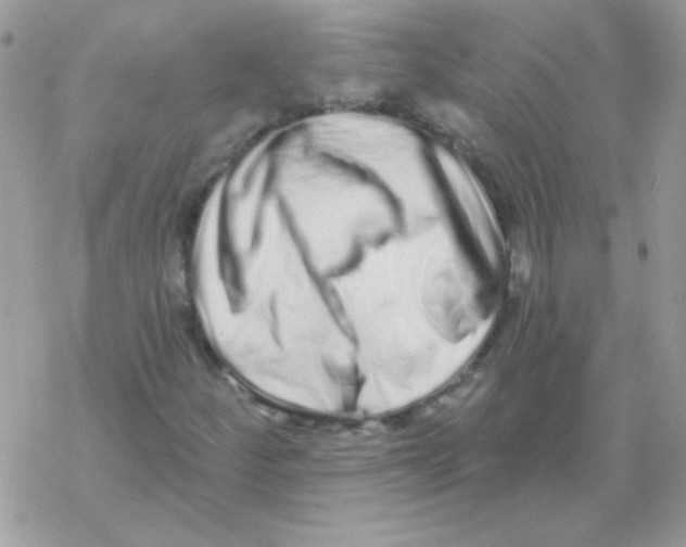 X0000069401252200606091733