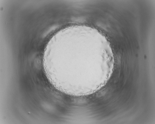 X0000069401254200606091733