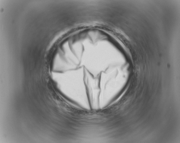 X0000069401256200606091733