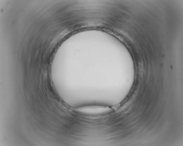 X0000069401257200606091733